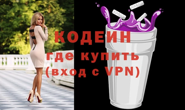 СК Елизово