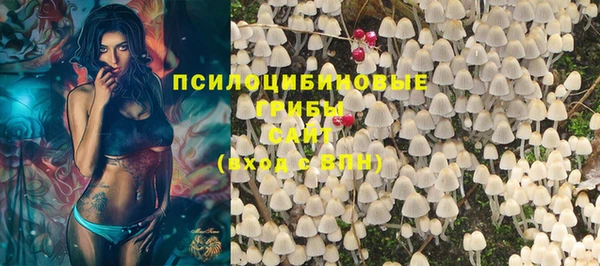 СК Елизово