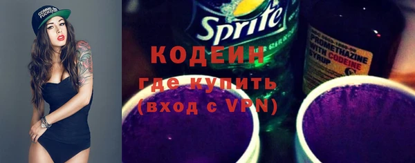 СК Елизово
