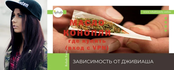СК Елизово