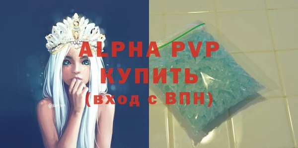 СК Елизово