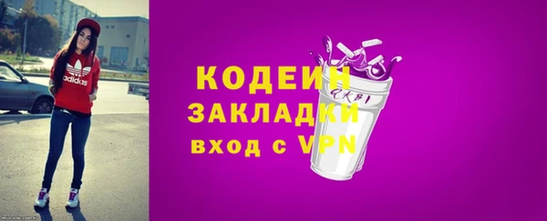 мет Ельня
