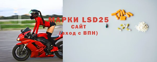 СК Елизово