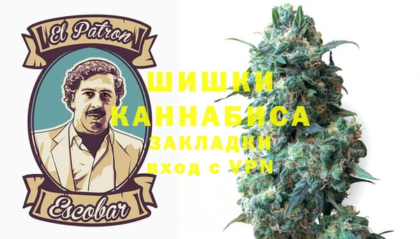 СК Елизово