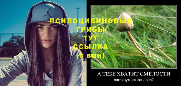 мет Ельня