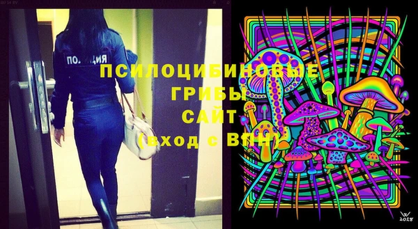 мет Ельня