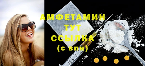 мет Ельня