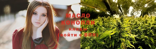 мет Ельня