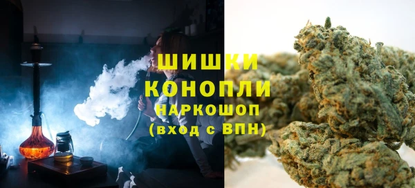 СК Елизово