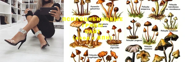 мет Ельня