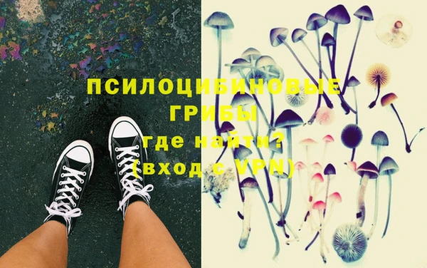 мет Ельня