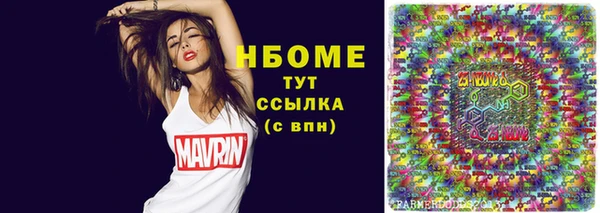 СК Елизово