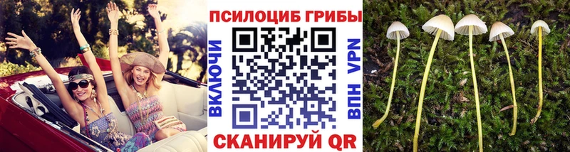 Галлюциногенные грибы ЛСД  Купить закладки  Нефтекамск 