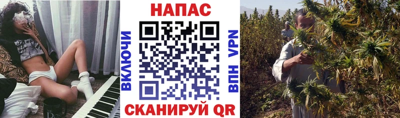 Конопля Amnesia  Купить закладки  Нефтекамск 
